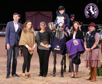 Thomas Bradburne lands the Blue Chip Pony Newcomers Championship at Horse of the Year Show